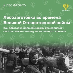 Лесозаготовители за годы войны поставили народному хозяйству 400 миллионов кубометров дров