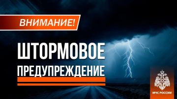 �����, ����� � ���, �� ��������� ��������� ���� �����, �����, ������ ����� �� 20 �/� ��������� 11 ���