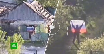 ���� ���� ��������: ��� ����� ������ ����������� ����������� ���� ������ ����