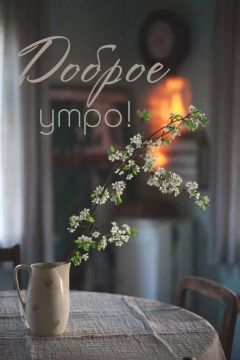 �������� ���!. ����������� ���� �������������