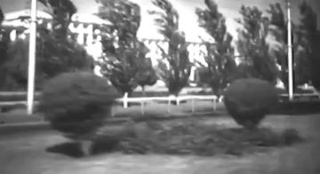 Виктория Мельникова: А вы слышали эту песню про Донецк?