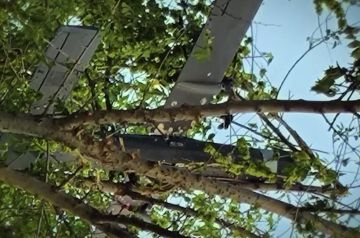 � �������� ������������� ������� ���������� ���� �������