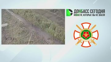 ����������� ����� ������ ���������� �������� ����������� �� ��������������� �����������