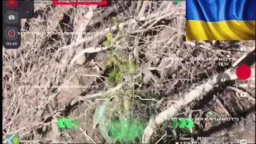 ��������� �������: ������ ����� � ����������