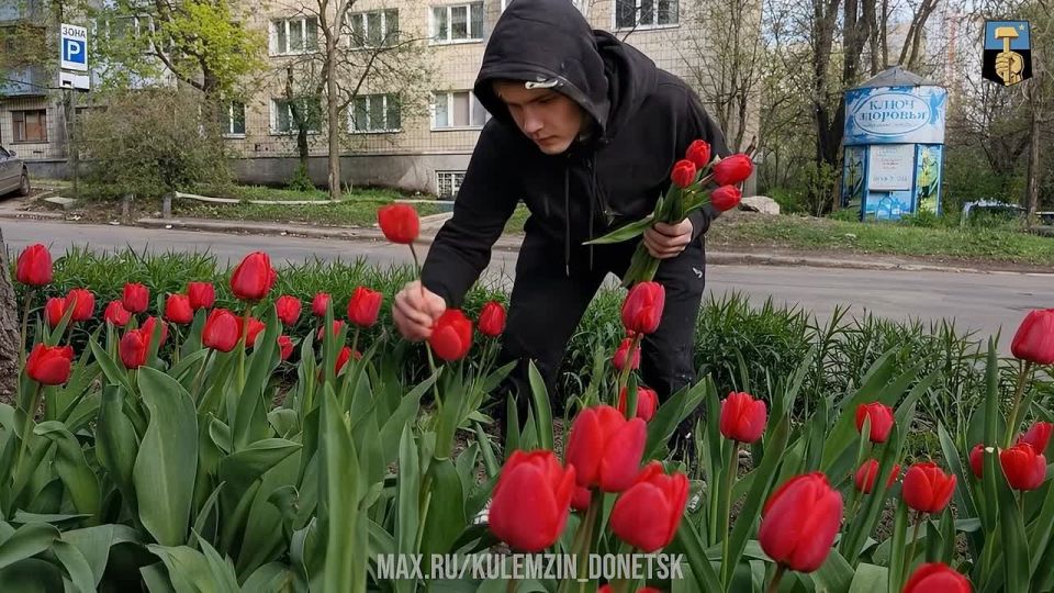 Алексей Кулемзин: Хитрый парикмахер, русский император, кинолаборатория и ухоженные дворы