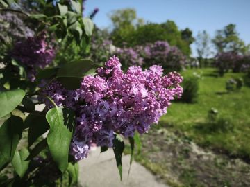 18 ��� � ���������� ���������� ����������, ������� ��������������� �����, �����