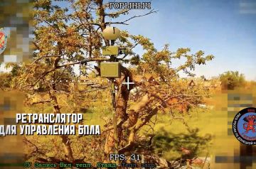 ��������� ��������� ��������� ������������ ��� ���� � ��������������