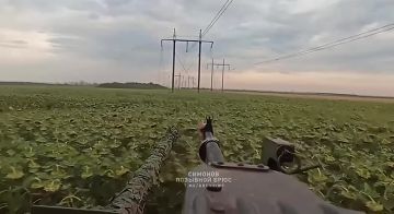 ��������� �������: �� ��������� ������ �������