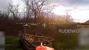 ������ �������: ������� ����� ����������� ������ � ������� ����������� ������ ���������� ������ ������� ����������, ����������������� � ���������������� ��������� ������������ ��� �� ������������� �����������