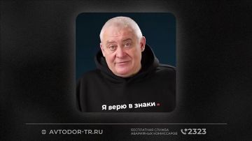 Когда животные на дороге. На трассе иногда появляются те, кто не знает правил дорожного движения