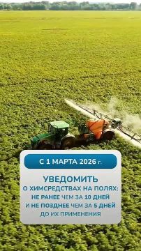 Ежегодно 20 мая во всем мире отмечают Всемирный день пчел