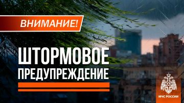 ��������������� ����� � ���, �� ��������� ��������� ���� ��������������� �����, �����, ������ ����� �� 14 �/� ��������� 21 ���