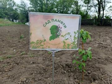 В Шахтерском округе продолжается акция «Маленькие добрые дела»