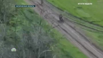 Наша армия продолжает продвигаться в зоне СВО