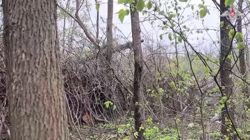 ������ ����� �-72�3� ����������� ������ ��������� ������� ����� � ������� ��� ������� ����� ������������ ���