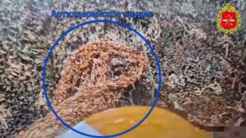 ���������� ������: 00:00 ������ ���� �Zala� � ������� ����������� ������� ���� ���� ����� ���������� �� ���������������� �����������