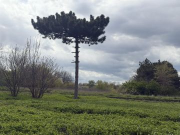 Наталья Великодная: Доброе утро, уважаемые жители!