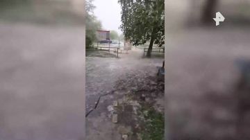 ����������� ������, ������ ����� � ���� �������� � ������� ����: �������� ������� �� �������� ������