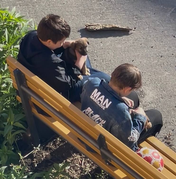 Дети в Мариуполе издевались над маленькими щенками и бросали их об землю