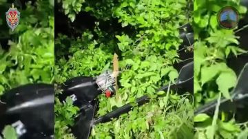 �� ������ ������ �������� ������������ 63 ����� ����������