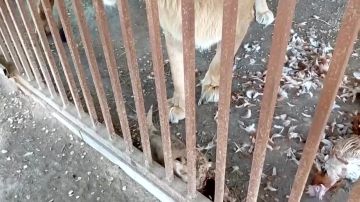 � ������������� ����� ������� � ������ ������� ������ �� ��� �����