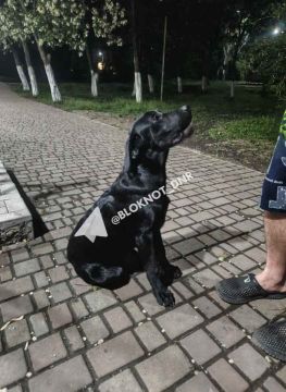 � ������������ ������ ������� ������ ������ ����� ���������