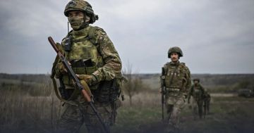 Дарья Морозова: В адрес Уполномоченного по правам человека в Донецкой Народной Республике обратилась гражданка П. по вопросу оказания содействия в установлении соответствующего статуса ее племяннику, участнику СВО...