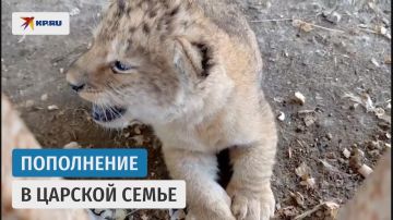 � ������������� �������� � ����� ����� ������� � ������ ������� �����