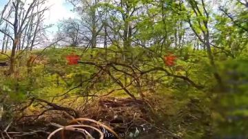 ��� ������: ������������� ������. ��������� 33-�� ��������������� ����� ������� ������� ������ ������ ���������� ���� ���������������� ����