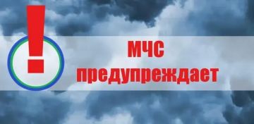 ��������������� �����, �����, ������ ����� �� 20 �/� � ��� � �� ��������� ��������� ���� ��������� 27 ���
