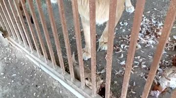 � ������������� �������� ���������� � ����� ����� ������� � ������
