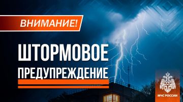 �����, �����, ������ ����� �� 20 �/� � ��� � �� ��������� ��������� ���� ��������� 28 ���