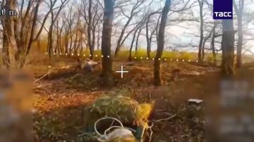 ������� ���� ���������� ������������ ��� �� ������������� �����������
