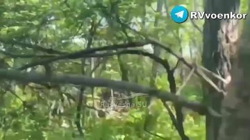����������� � ����������: ��������� � ������� 102 ����� ���������� �����
