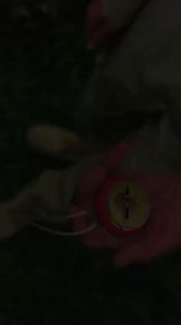 ��� � ����� �����. 28 ��� �������������� ������-���������� �������� �������߻ ���������� ������ ���