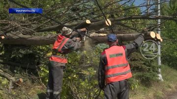 «Зеленстрой» устраняет последствия непогоды в Мариуполе