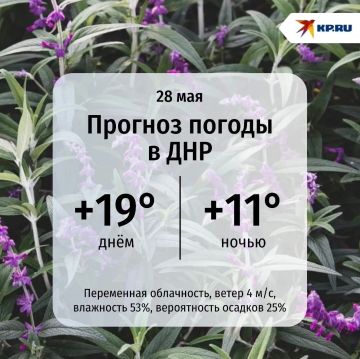 ��� ������� ������� �������� +19�