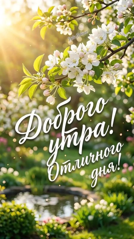 #доброе_утро