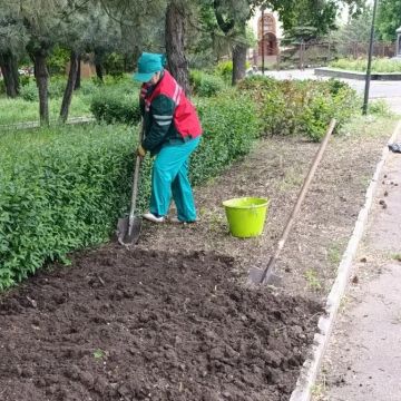 Иван Адамец: Сотрудники муниципального предприятия «Зеленое строительство» продолжают плановые работы в Куйбышевском районе