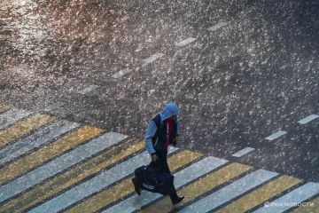 ������ �� ����� ����������� ������