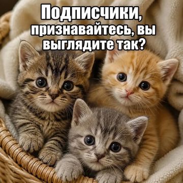 �� ��� ��-������� � ����������� �� �����! ������� �� ���� ������� � �����������