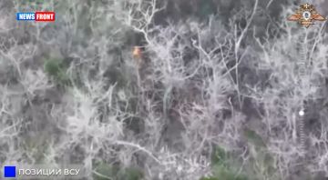 Уничтожение блиндажа ВСУ в окрестностях Торского