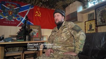 Мирная жизнь прорастает – так же неостановима…