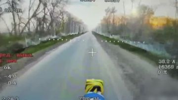 ������� ���������: ���������� ����� ����, ���������� ���������� � ���������������� ���������� ������������ ��� � ��������� ������ ����� ����������� ������ � ������� ����������� ����� "�����"
