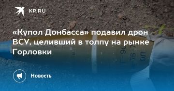 «Купол Донбасса» подавил дрон ВСУ, целивший в толпу на рынке Горловки