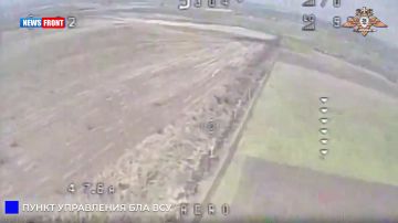 В Райском ударом FPV-дрона уничтожен вражеский ПУ БПЛА