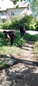 � ����� ���������� ���������� � ���������� ���������� ��������� � ��������� ��������������� ������ ������ �������� ������ ����������� ������� ��� ������� ������������ ���� �� ���������� ���������������� ������ �� ����������...