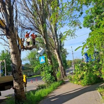 ������ ��������: ��� ���� ��� "������� �������������" ������������� ������ 03.06.2026 �������� ������ �� ����� ��������� �������� �� ��.���������