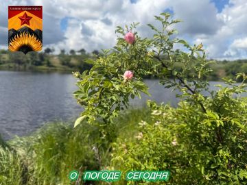 ������������� ������� � ������ � ���������� ������