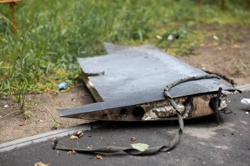 ���� ����: ���� ��� ����� ���������� 272 ���������� ���� ��� 11 ���������� ��: